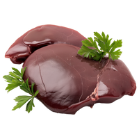 Liver