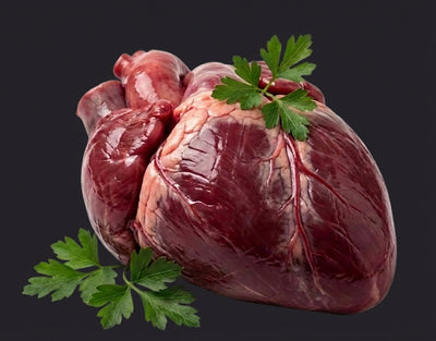 Heart