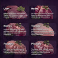 Gallery 3